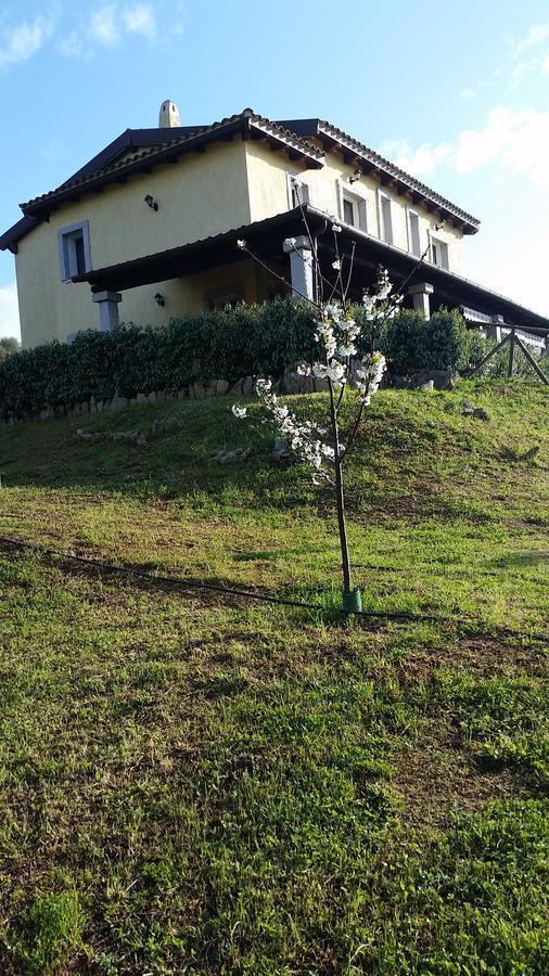 B&B Sa Soliana Telti Exteriér fotografie